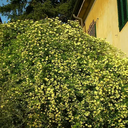 Guest house Giolica *