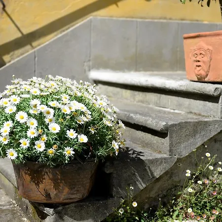 Guest house Giolica *