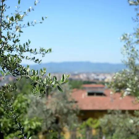 Giolica Prato (Prato)